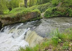 PHOTO-2024-04-29-11-13-28_2